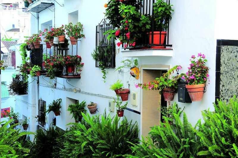 Casa Tita Laura Villa Algarrobo Dış mekan fotoğraf
